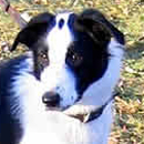 McGuire was adopted in January, 2006